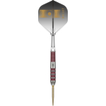 Target Stephen Bunting 95K 95% Swiss