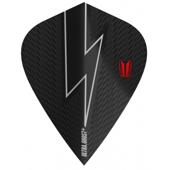 Vision Ultra Ghost+ Player Phil Taylor Kite