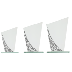 Joanne Glasstandaard