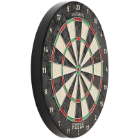 Shot Rogue Dartboard