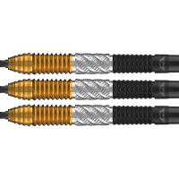 Bull's Dirk van Duijvenbode CP Steeltip 95%