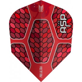 Vision Ultra Player Nathan Aspinall Std.6
