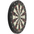 Shot Rogue Dartboard