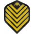 Mission Admiral Std.