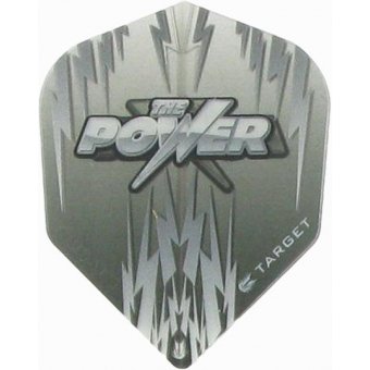 Vision Player Phil Taylor Std.6 Grey
