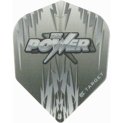 Vision Player Phil Taylor Std.6 Grey